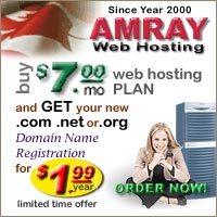 AMRAY Web Hosting - Domain Special